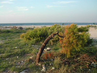 grece 019.jpg