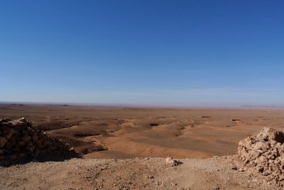 _DSC3106.jpg