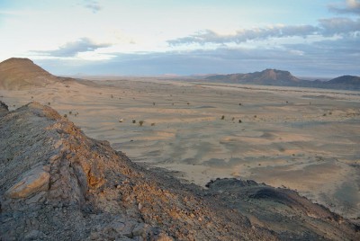 _DSC3323.jpg