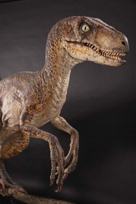 velociraptor.jpg