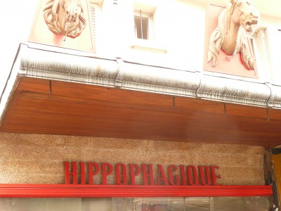 P1090618.JPG