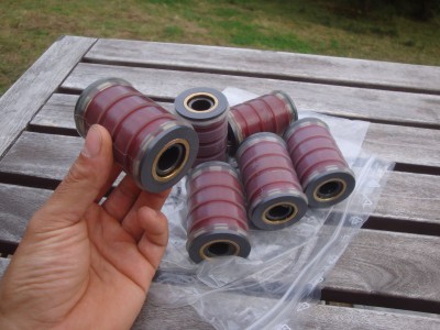 DSC03000.JPG (254.41 Kio) Vu 12359 fois Ils ont quand même plus fière allure comme ça