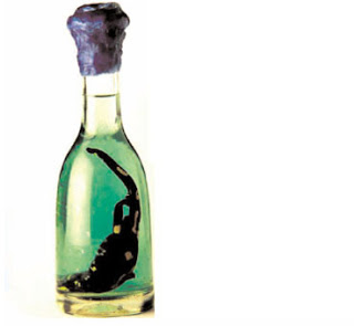 brandy salamandre.jpg