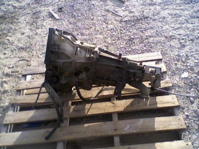 0539856108.jpg