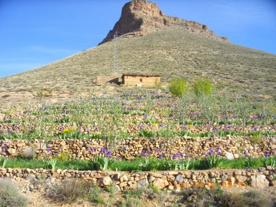MAROC 14 089.JPG
