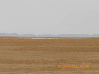 lac iriki