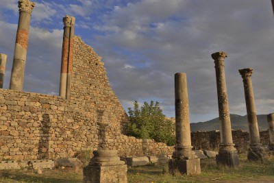 Volubilis... magnifique !