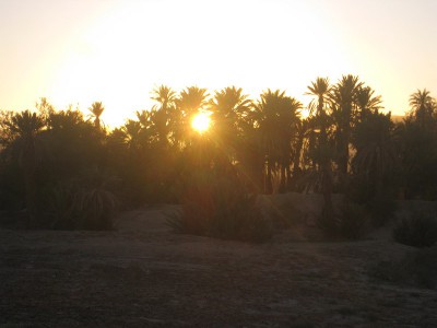 IMG_0164.JPG