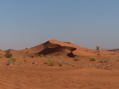 Enfin ! Un peu de sable après Azougui