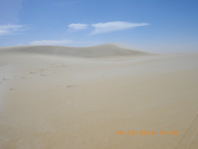 MAURITANIE 215.JPG