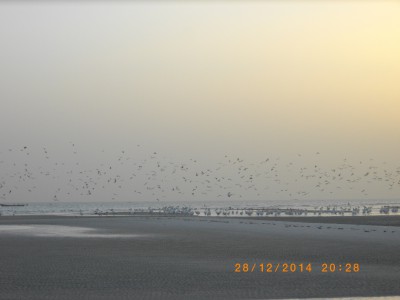 MAURITANIE 438.JPG