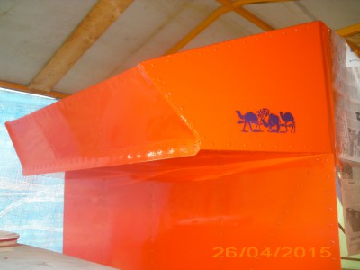 DSCI4960.JPG