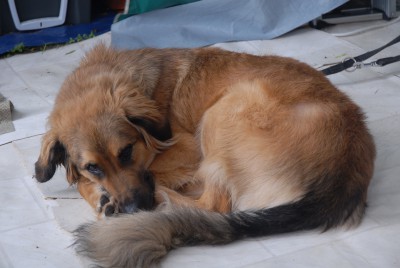 DSC_8405.JPG