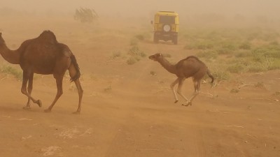 20160321_161551.jpg
