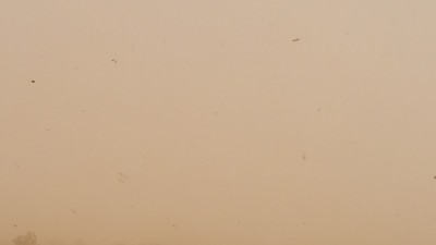 20160321_161513.jpg