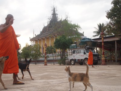 Nuit Bremach dans un temple