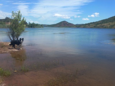 Le Lac du Salagou