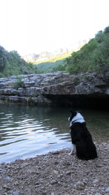 les gorges de Pegairolles de l'Escalette