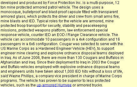 cougar 2.jpg