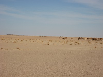 IMG_3761.JPG