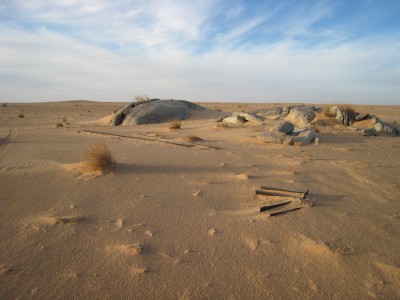 IMG_3789.JPG
