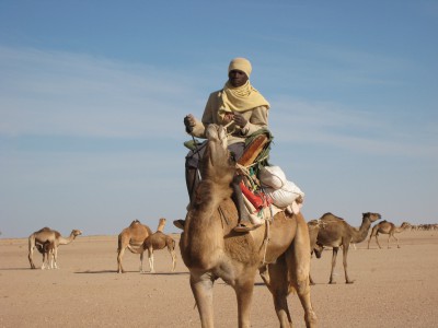 Beau et fier ..de sa monture