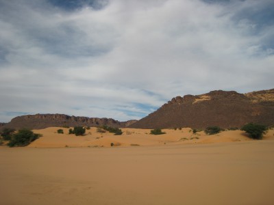 IMG_3911.JPG