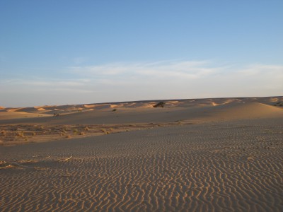 IMG_4099.JPG