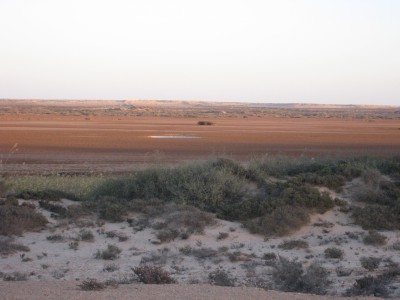 coin bivouac 23°16 30N - 15°55 50 W