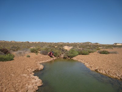 IMG_4353.JPG