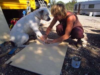 un peu d'aménagement le chien met la main a la pattte pour la peinture.