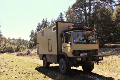 Foret Azrou au Maroc