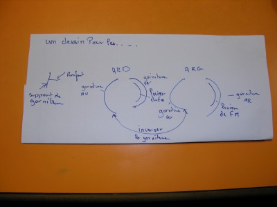 DSCN5951.JPG