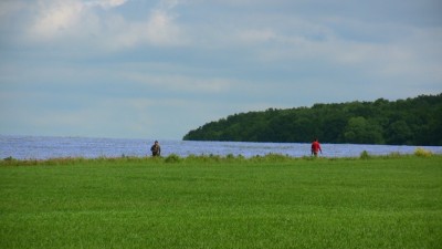 petite promenade dans les champs de lin... entre le démontage et le remontage.. Leduc et Platypus