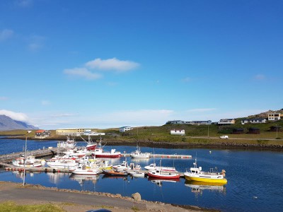20180719_163013.jpg