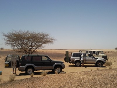 un acacia et de l'ombre.jpg