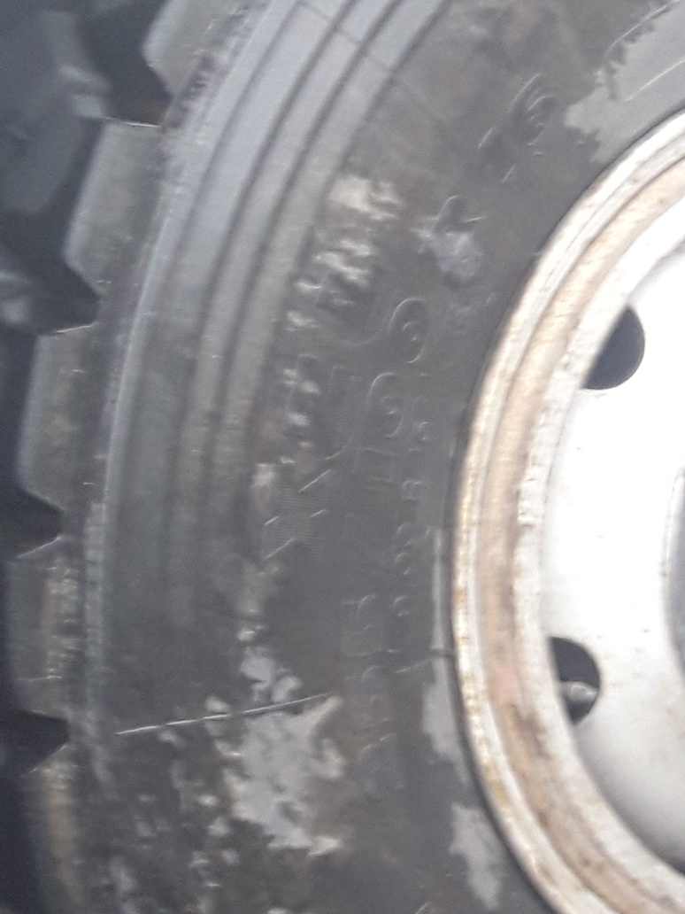 20190403_183441_resized.jpg