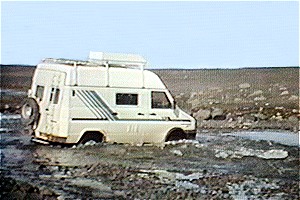 gue_hraunkvislar1.jpg