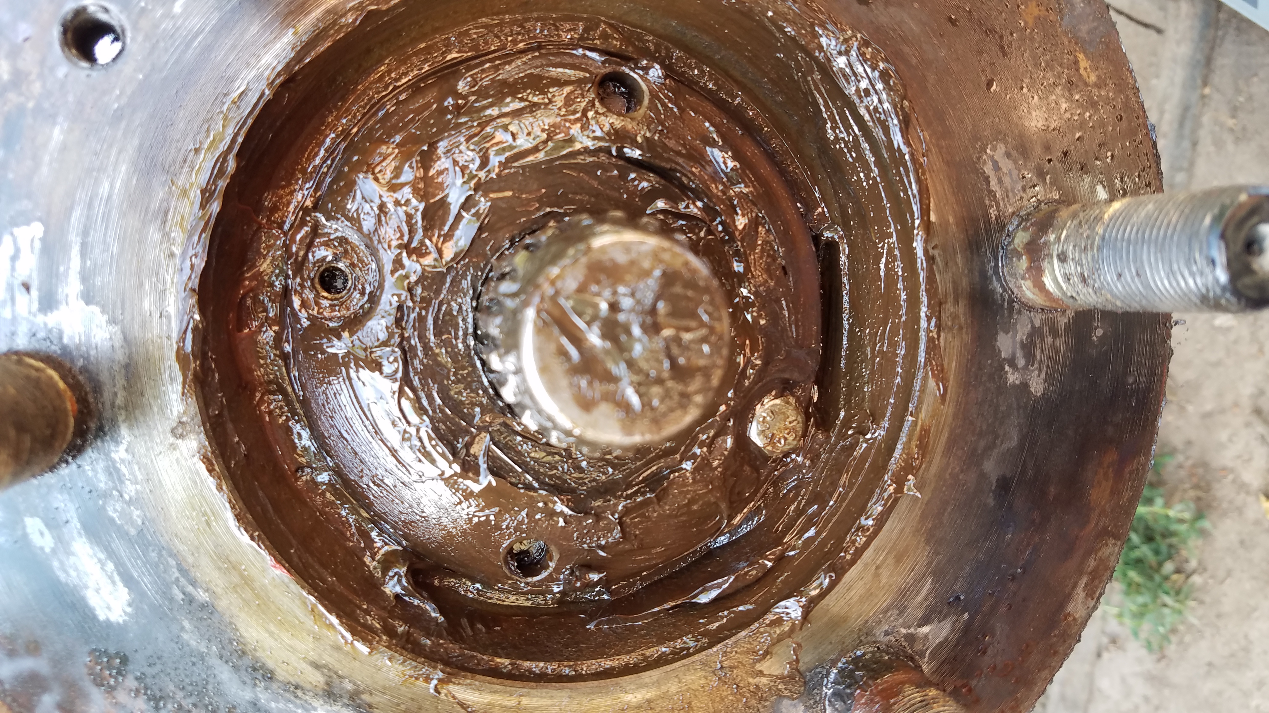 20190623_174955[1].jpg