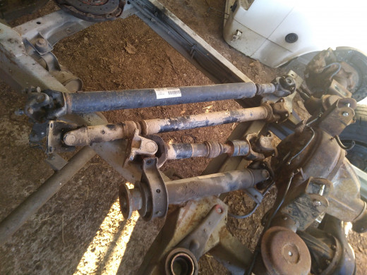 137268179_1332995083736516_6119917996694554346_n.jpg (930.72 Kio) Vu 5362 fois Arbre