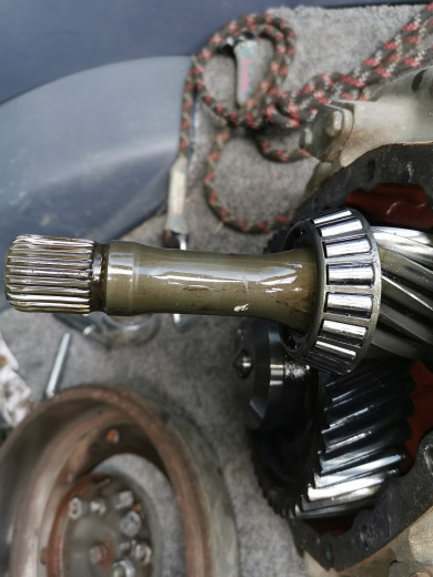 IMG_20210517_122513.jpg (2.12 Mio) Vu 1053 fois Pas de portée sur mon demi arbre