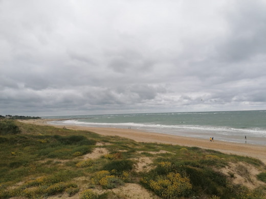 oleron9.jpg