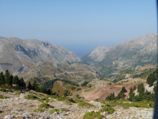 P1000570_320x240.JPG