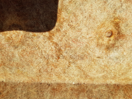20220513_113414.jpg