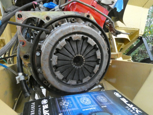 P1040631.JPG