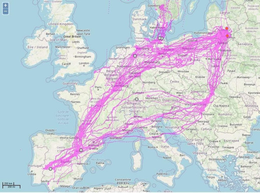 meuh non je déconne, ce sont les oies cendrées qui ont été équipées de gps et c'est donc leurs circuits de migrations