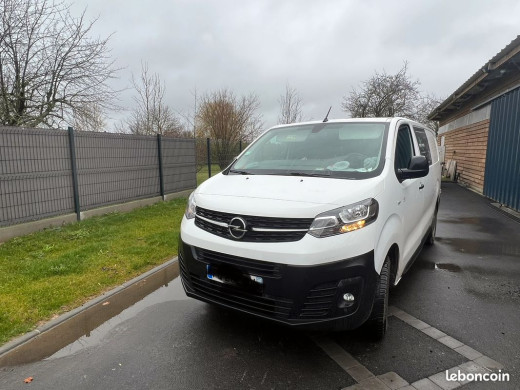 vivaro1.jpg