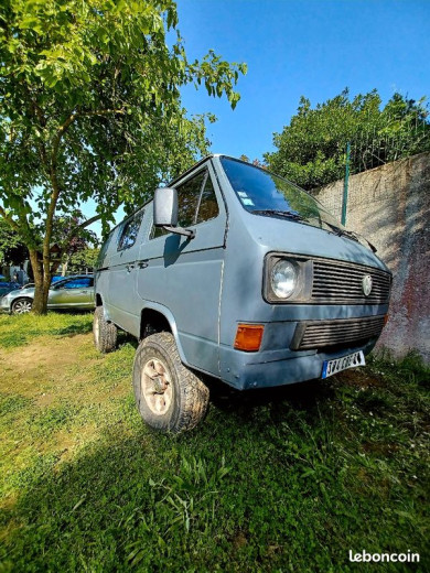 t31.jpg