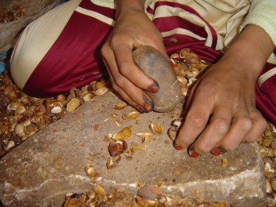 casser les noyaux (detail) [].JPG