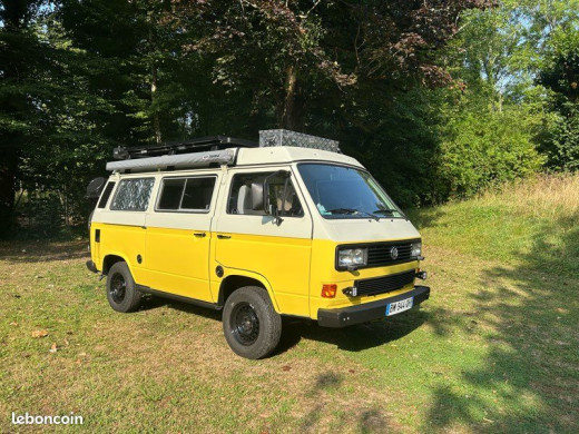 t31.jpg